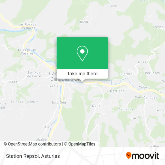 Station Repsol map