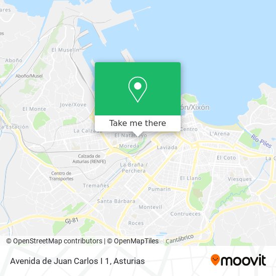 Avenida de Juan Carlos I 1 map