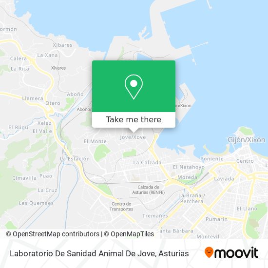 Laboratorio De Sanidad Animal De Jove map