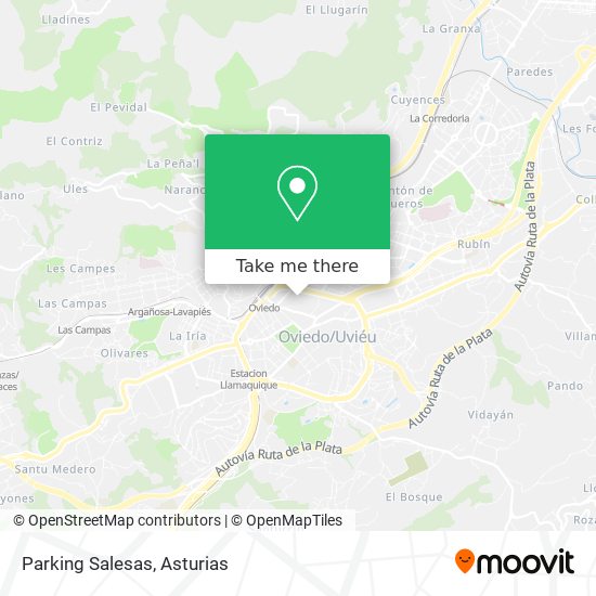 Parking Salesas map