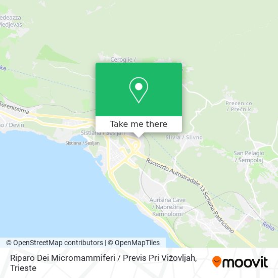 Riparo Dei Micromammiferi / Previs Pri Vižovljah map