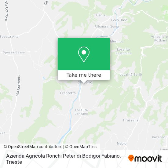 Azienda Agricola Ronchi Peter di Bodigoi Fabiano map