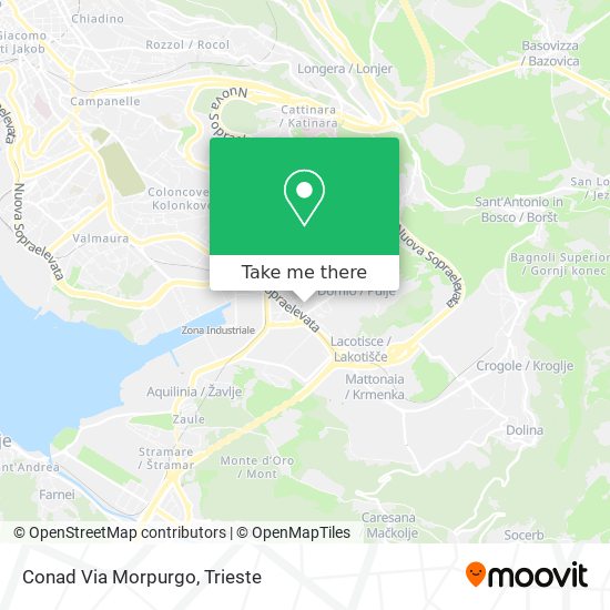 Conad Via Morpurgo map