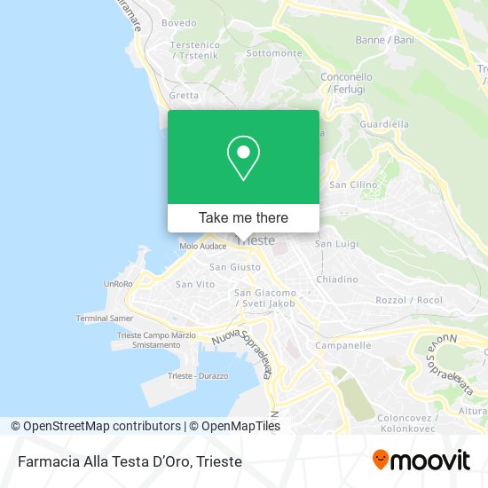 Farmacia Alla Testa D’Oro map