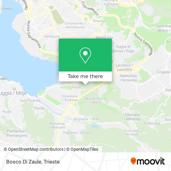 Bosco Di Zaule map