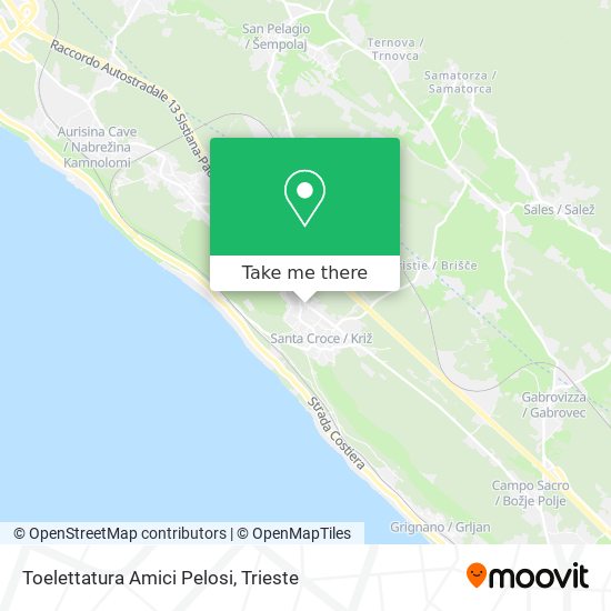 Toelettatura Amici Pelosi map