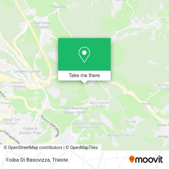 Foiba Di Basovizza map