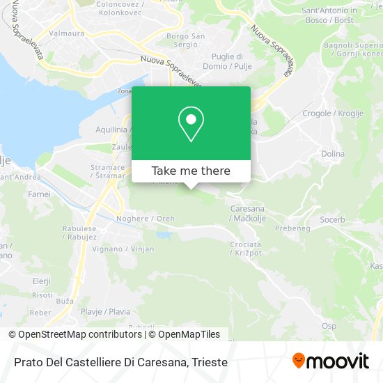 Prato Del Castelliere Di Caresana map