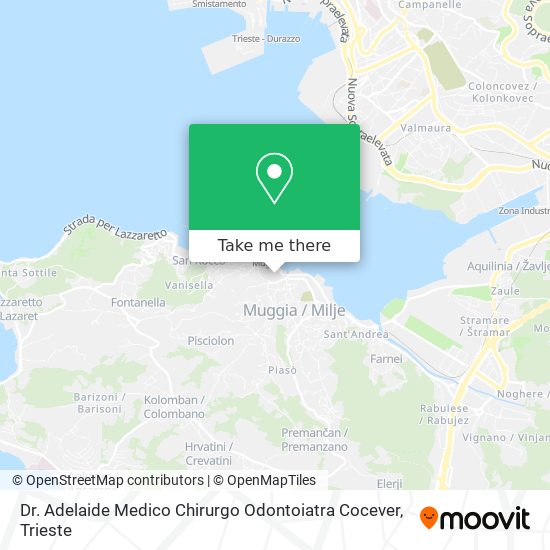 Dr. Adelaide Medico Chirurgo Odontoiatra Cocever map