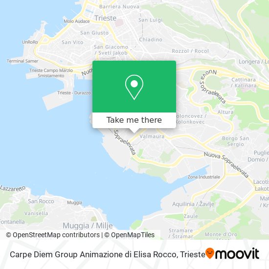 Carpe Diem Group Animazione di Elisa Rocco map