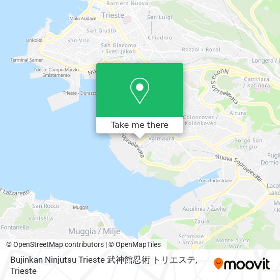 Bujinkan Ninjutsu Trieste 武神館忍術 トリエステ map