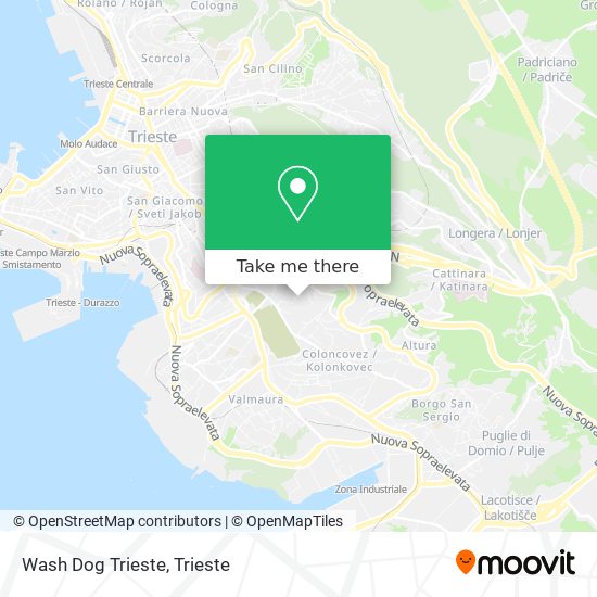 Wash Dog Trieste map