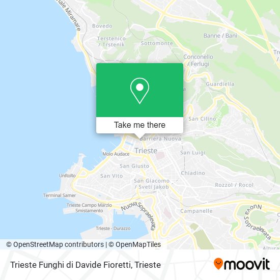 Trieste Funghi di Davide Fioretti map