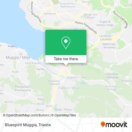 Bluespirit Muggia map