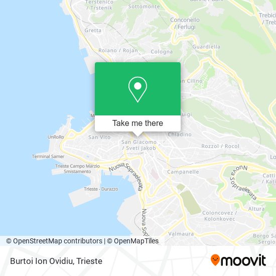 Burtoi Ion Ovidiu map