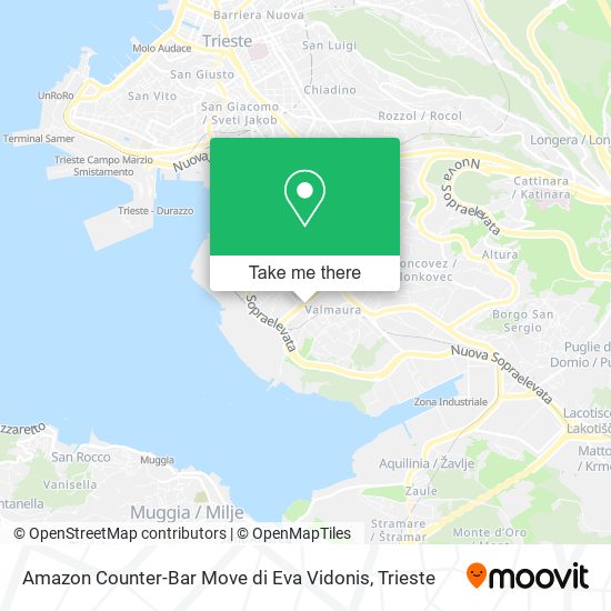 Amazon Counter-Bar Move di Eva Vidonis map