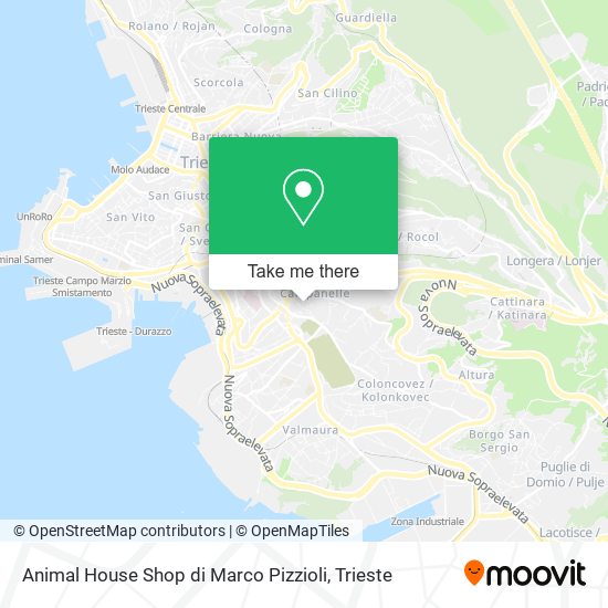 Animal House Shop di Marco Pizzioli map