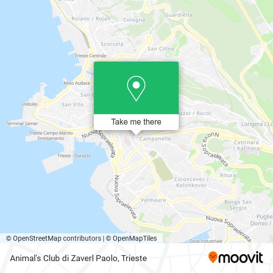 Animal's Club di Zaverl Paolo map