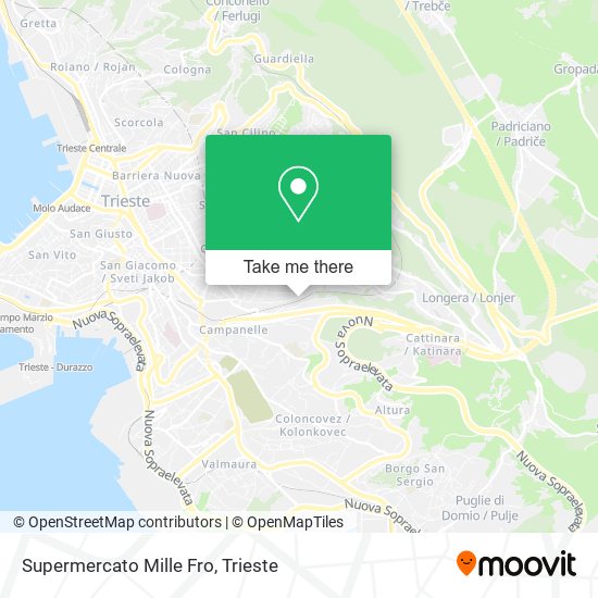 Supermercato Mille Fro map