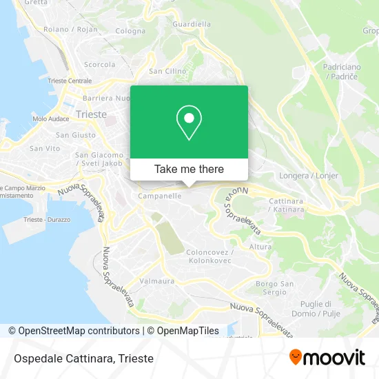 Ospedale Cattinara map