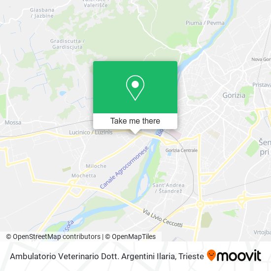 Ambulatorio Veterinario Dott. Argentini Ilaria map