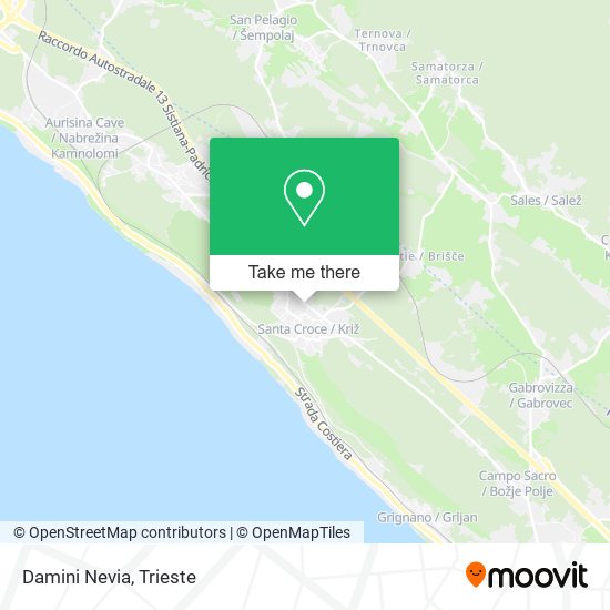 Damini Nevia map