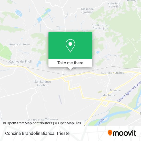 Concina Brandolin Bianca map