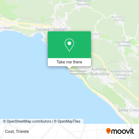 Cost map