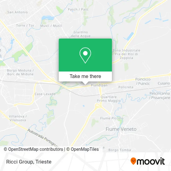 Ricci Group map