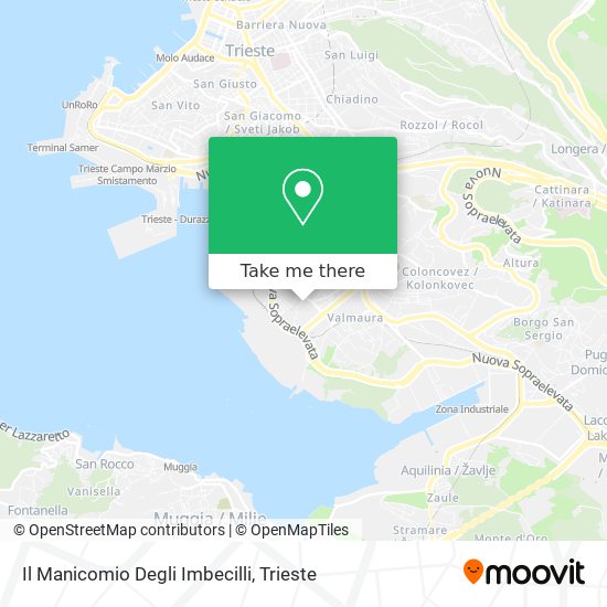 Il Manicomio Degli Imbecilli map