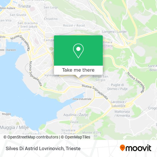 Silves Di Astrid Lovrinovich map