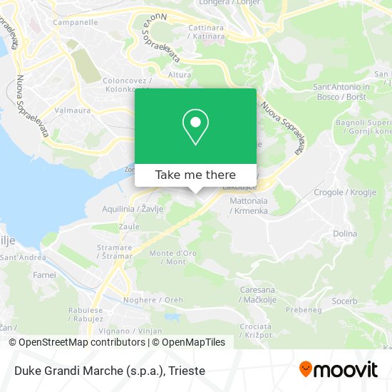 Duke Grandi Marche (s.p.a.) map