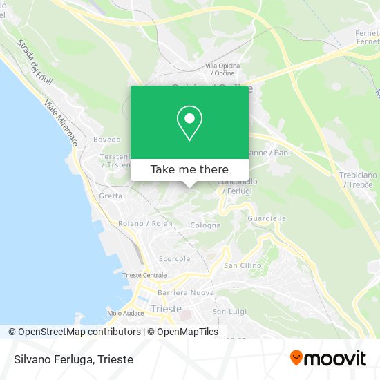 Silvano Ferluga map