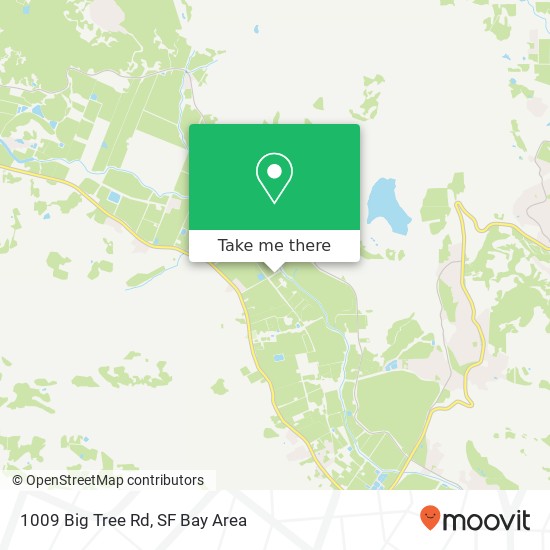 Mapa de 1009 Big Tree Rd