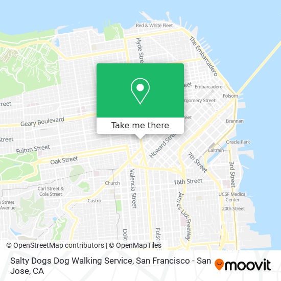 Salty Dogs Dog Walking Service map