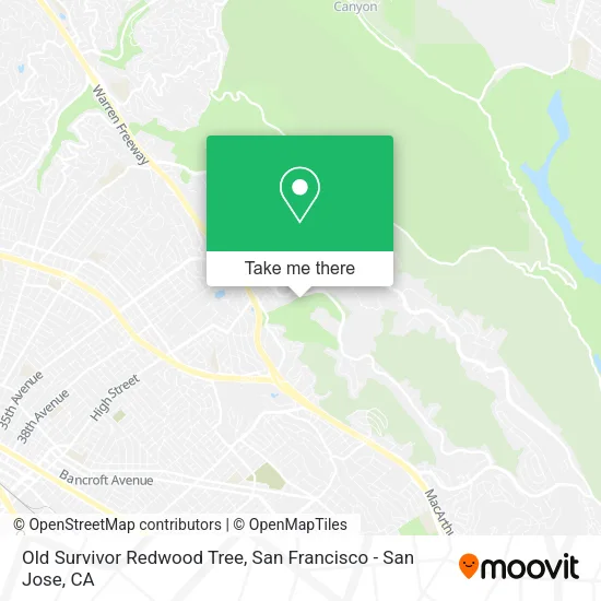 Old Survivor Redwood Tree map