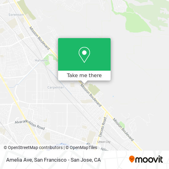 Amelia Ave map