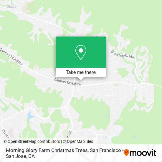 Morning Glory Farm Christmas Trees map