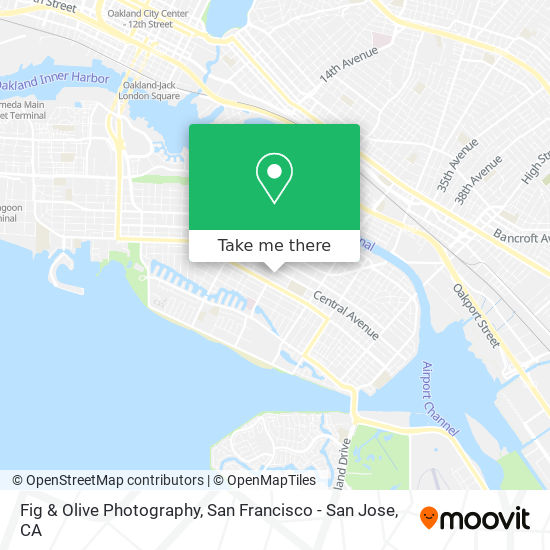 Fig & Olive Photography map