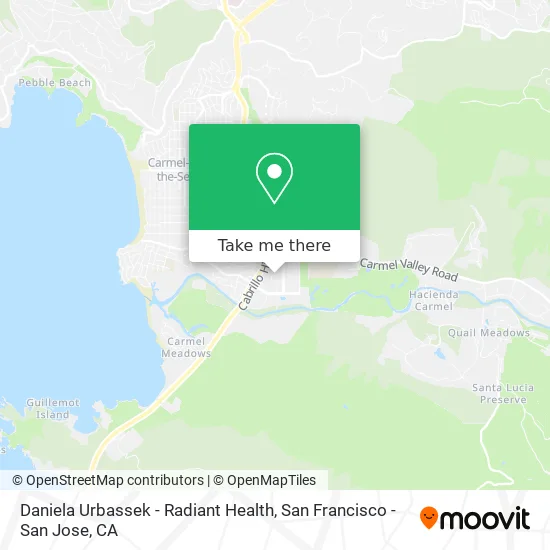 Daniela Urbassek - Radiant Health map