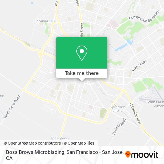 Boss Brows Microblading map