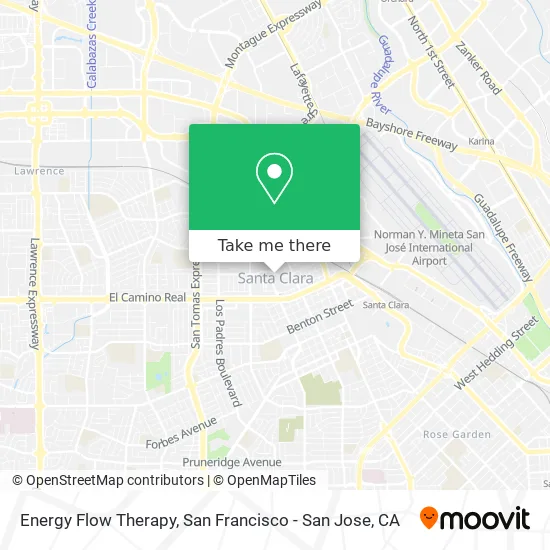 Energy Flow Therapy map