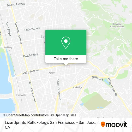 Mapa de Lizardprints Reflexology
