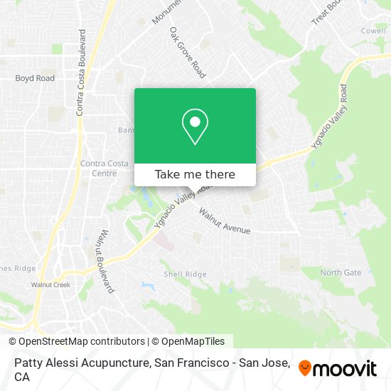 Patty Alessi Acupuncture map