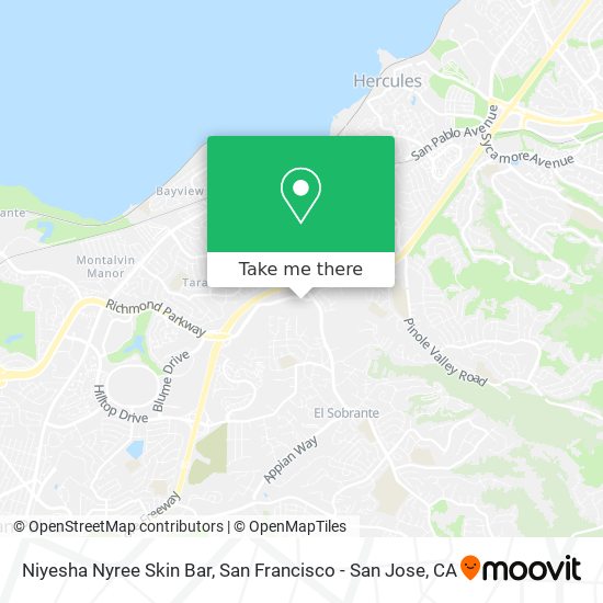 Mapa de Niyesha Nyree Skin Bar