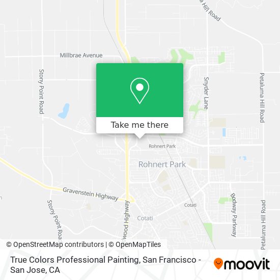 True Colors Professional Painting map