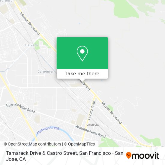 Tamarack Drive & Castro Street map