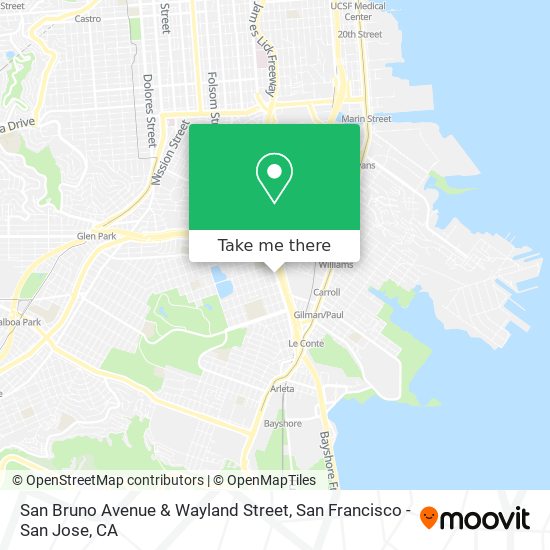 San Bruno Avenue & Wayland Street map