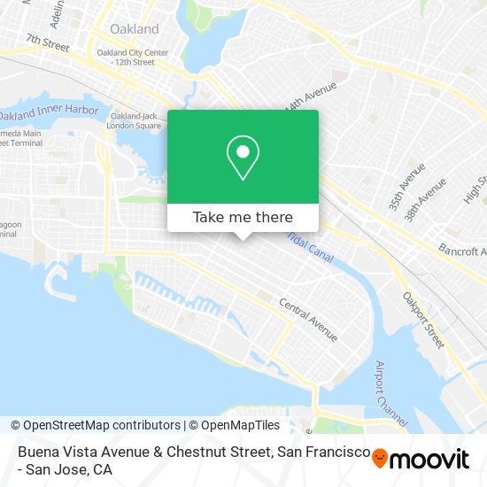 Buena Vista Avenue & Chestnut Street map