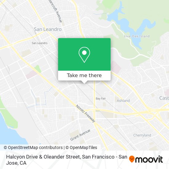 Halcyon Drive & Oleander Street map